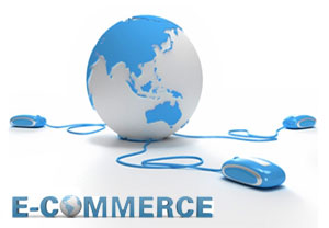 e-commerce guidelines