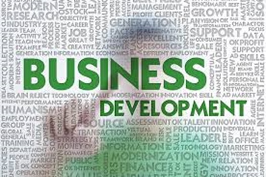 Business Development Ideas