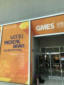 GMES-2017-in- Korea (4)