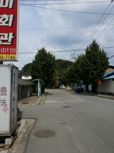 Wevio - Canada buyer visited Korea for consultation  (79)