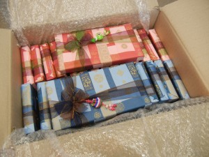 2013 Wevio New Zealand (Auckland) - Eco-Fendly Transportation Equipment -Aukland Boat Show (172)