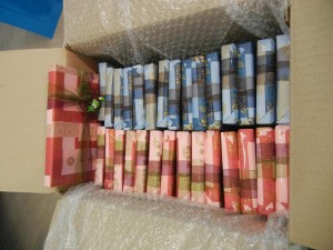 2013 Wevio New Zealand (Auckland) - Eco-Fendly Transportation Equipment -Aukland Boat Show (172)