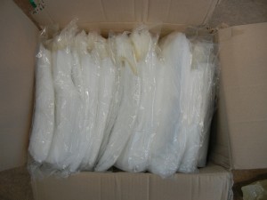 2013 Wevio New Zealand (Auckland) - Eco-Fendly Transportation Equipment -Aukland Boat Show (172)