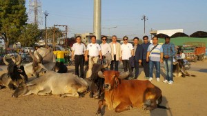2014 Wevio India (Gujarat) - Eco-friendly transportation machine - Gujarat Motor Show (53)