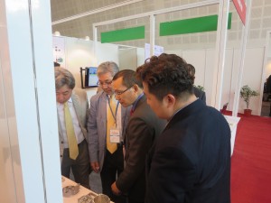 2014 Wevio India (Gujarat) - Eco-friendly transportation machine - Gujarat Motor Show (634)