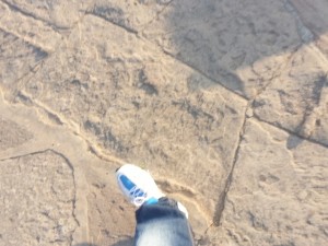 2014 Wevio India (Gujarat) - Eco-friendly transportation machine - Gujarat Motor Show (71) - Copy