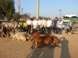 2014 Wevio India (Gujarat) - Eco-friendly transportation machine - Gujarat Motor Show (76)