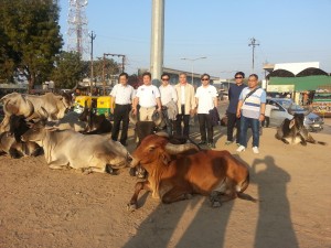2014 Wevio India (Gujarat) - Eco-friendly transportation machine - Gujarat Motor Show (77) - Copy