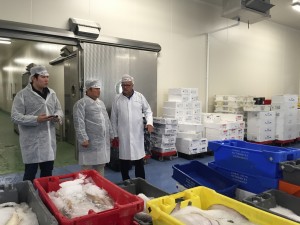 2015 Wevio Netherlands (Rotterdam) - Jeollanam-do Jangsoo Company (Gyosa Food) - Gastrviji Rotterdam (62)