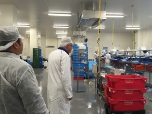 2015 Wevio Netherlands (Rotterdam) - Jeollanam-do Jangsoo Company (Gyosa Food) - Gastrviji Rotterdam (63)