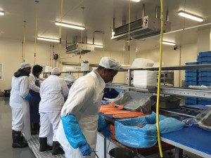 2015 Wevio Netherlands (Rotterdam) - Jeollanam-do Jangsoo Company (Gyosa Food) - Gastrviji Rotterdam (66)