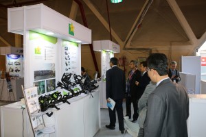 2016  Wevio India (New Delhi) - Green Car - Auto Expo (132)