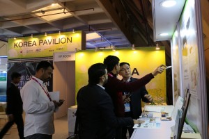 2016  Wevio India (New Delhi) - Green Car - Auto Expo (154)