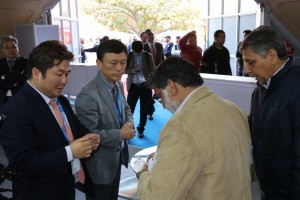 2016  Wevio India (New Delhi) - Green Car - Auto Expo (261)