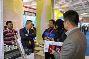 2016  Wevio India (New Delhi) - Green Car - Auto Expo (273)