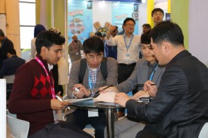 2016  Wevio India (New Delhi) - Green Car - Auto Expo (61)