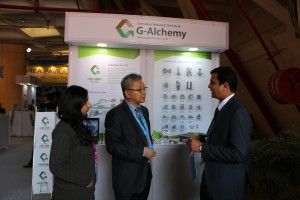 2016  Wevio India (New Delhi) - Green Car - Auto Expo (84)