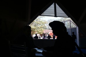 2016  Wevio India (New Delhi) - Green Car - Auto Expo (88)