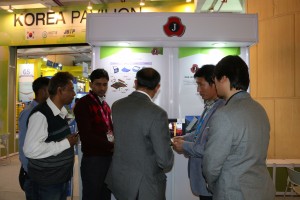 2016  Wevio India (New Delhi) - Green Car - Auto Expo (99)