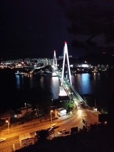 Wevio - Canada buyer visited Korea for consultation  (113)