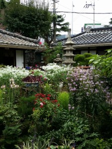 Wevio - Canada buyer visited Korea for consultation  (114)